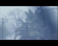 Three Lives - Hanoi