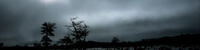 Dreaminess 2