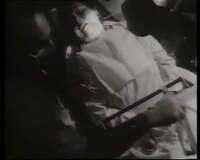 La Septième Operation Institut d'Observance Animale