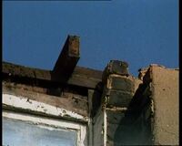 Blight