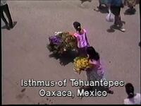 Una enagua llena de mariposas