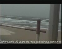 Palestine Blues